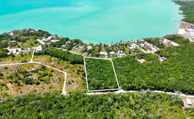 Land Lot for Sale 3 Jaguar Palms Dr, Consejo. Photo#4
