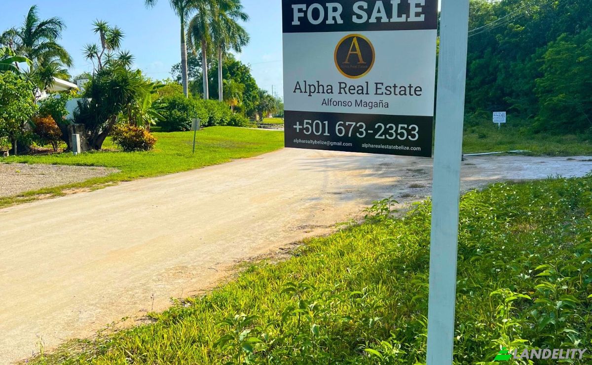 Land Lot for Sale 3 Jaguar Palms Dr, Consejo, Corozal District, Belize. Photo 5