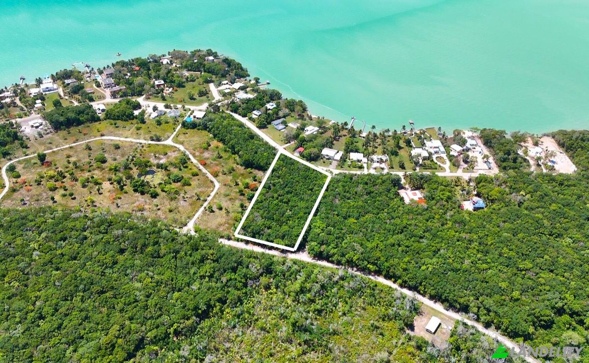 Land Lot for Sale 3 Jaguar Palms Dr, Consejo, Corozal District, Belize. Photo 6