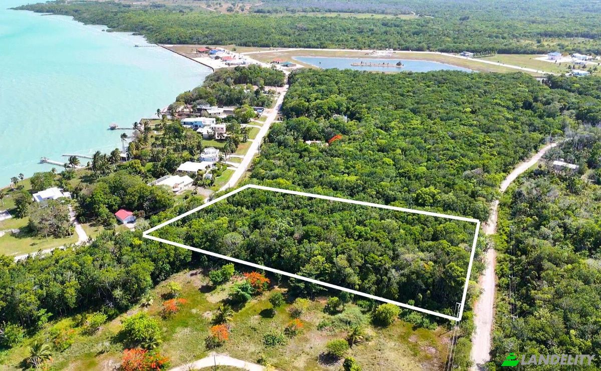 Land Lot for Sale 3 Jaguar Palms Dr, Consejo, Corozal District, Belize. Photo 1