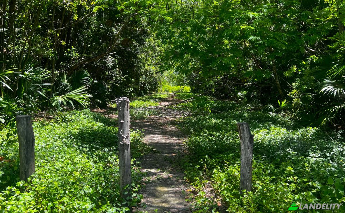 Land Lot for Sale 3 Jaguar Palms Dr, Consejo, Corozal District, Belize. Photo 2