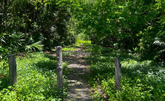Land Lot for Sale 3 Jaguar Palms Dr, Consejo. Photo#2