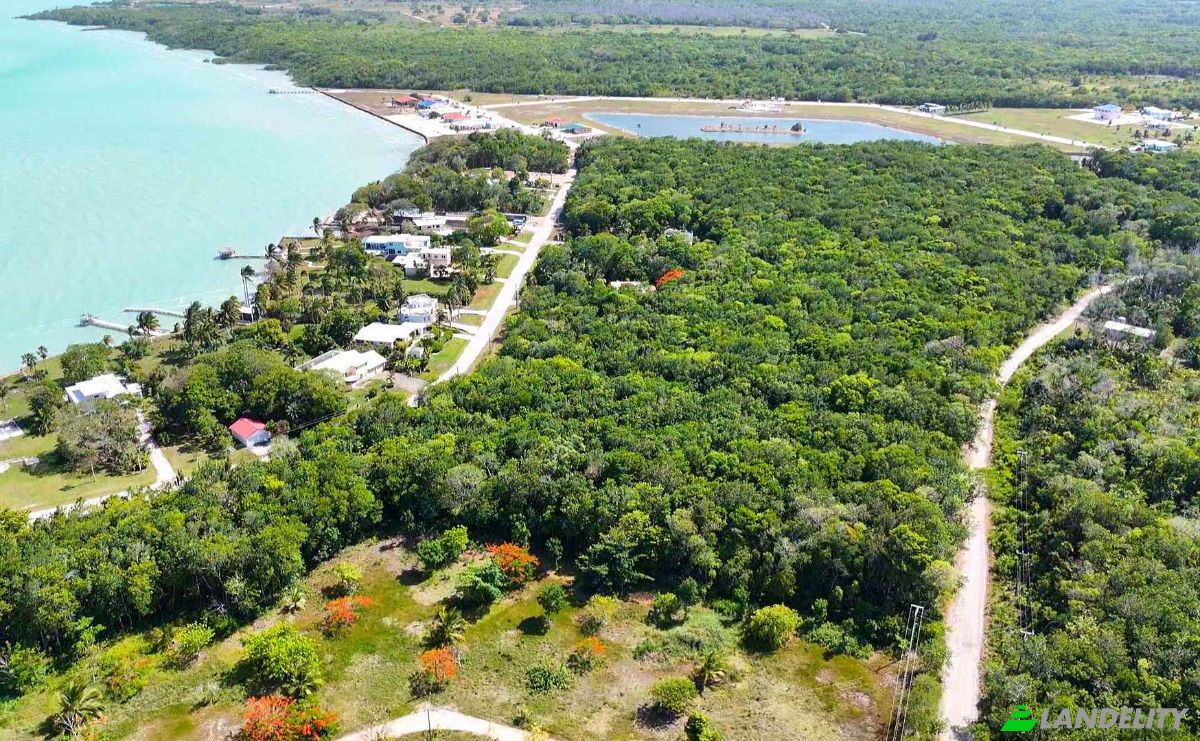 Land Lot for Sale Consejo, Corozal District, Belize. Photo 4