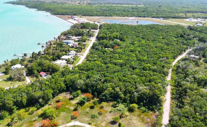 Land Lot for Sale Consejo, Corozal District. Photo#4