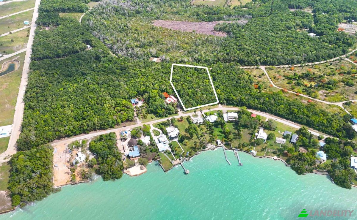 Land Lot for Sale Consejo, Corozal District, Belize. Photo 5