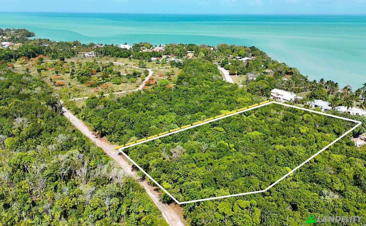 Land Lot for Sale Consejo, Corozal District, Belize. Photo 6