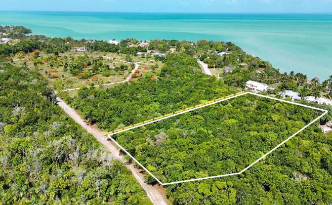 Land Lot for Sale Consejo, Corozal District. Photo#6
