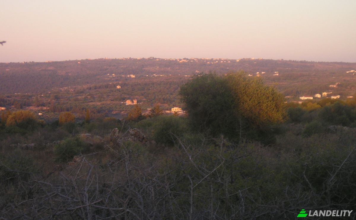 Land Lot for Sale Unnamed road, Vamos 730 08, Vamos, Crete, Decentralized Administration of Crete, Greece. Photo 6