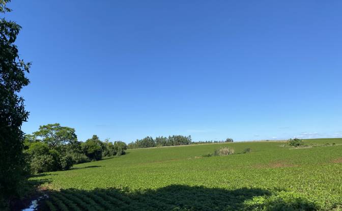 Investing/Development for Sale - Federico Chavez, Paraguay