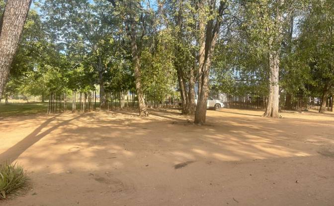Resort for Sale 112 Powerline Rd, Kariba. Photo#13