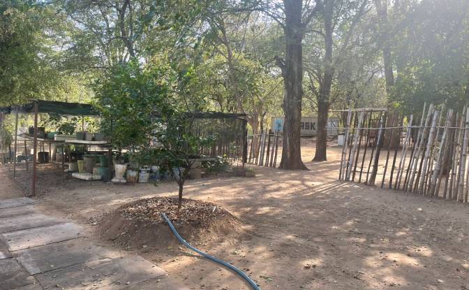 Resort for Sale 112 Powerline Rd, Kariba. Photo#12