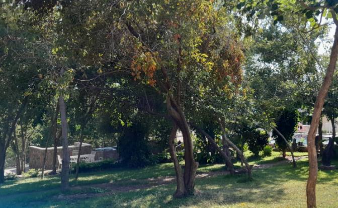 Inn/Lodge for Sale 797 Mica Dr, Kariba. Photo#15 Inn/Lodge for Sale 797 Mica Dr, Kariba. Photo#15