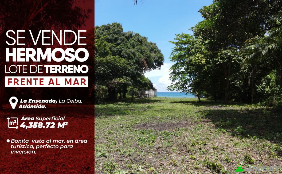 Land Lot for Sale Via sin nombre, Sambo Creek, La Ceiba, Atlantida Department, Honduras. Photo 3