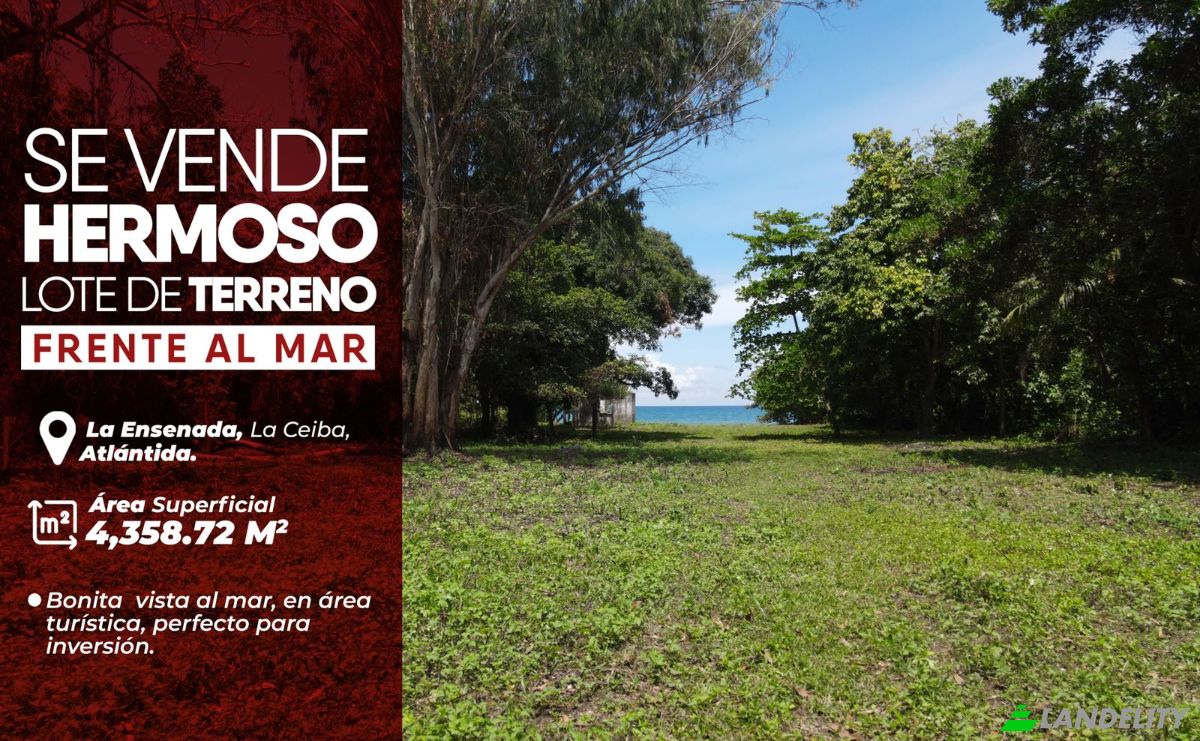 Land Lot for Sale Via sin nombre, Sambo Creek, La Ceiba, Atlantida Department, Honduras. Photo 8