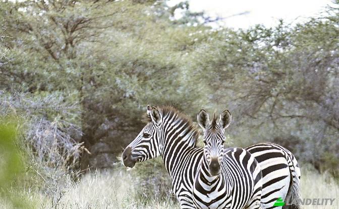 Land Lot for Sale Waterberg Estate. Photo#8 Land Lot for Sale Waterberg Estate. Photo#8