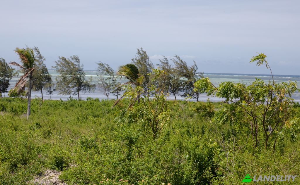 Land Lot for Sale Kanani Road, Watamu, Malindi, Kilifi County, Kenya. Photo 2