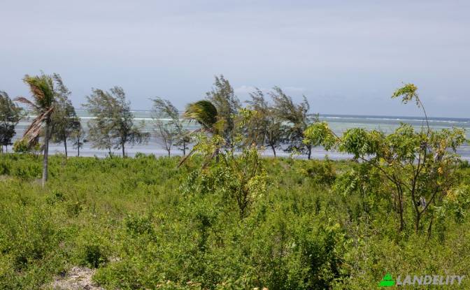 Land Lot for Sale Kanani Road, Watamu, Malindi. Photo#2 Land Lot for Sale Kanani Road, Watamu, Malindi. Photo#2