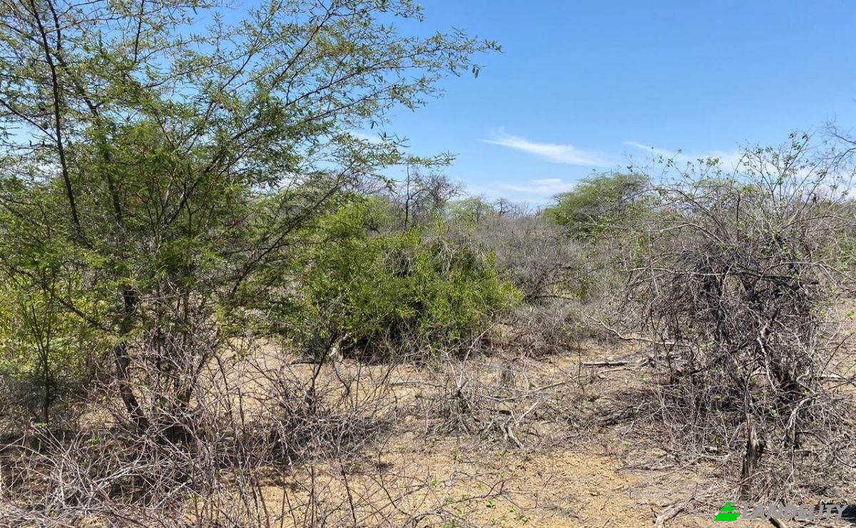 Grondperceel Te koop Via Sin Nombre, Lancones 20140, Lancones, Sullana Province, Piura, Peru. Foto 12