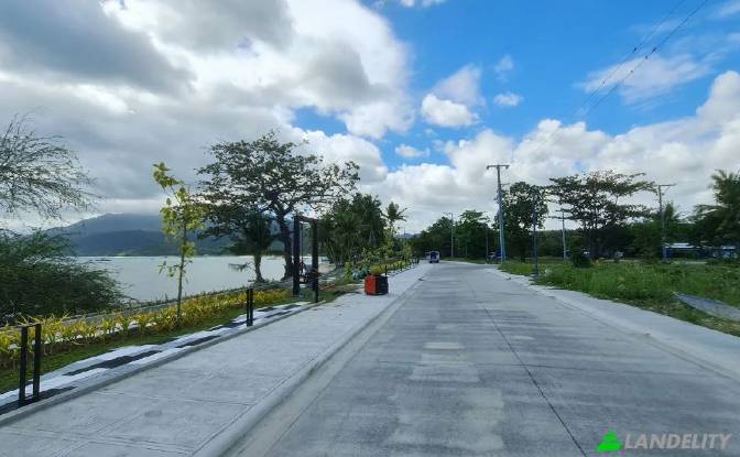 Land Lot for Sale San Juan, Batangas, Calabarzon. Photo#2
