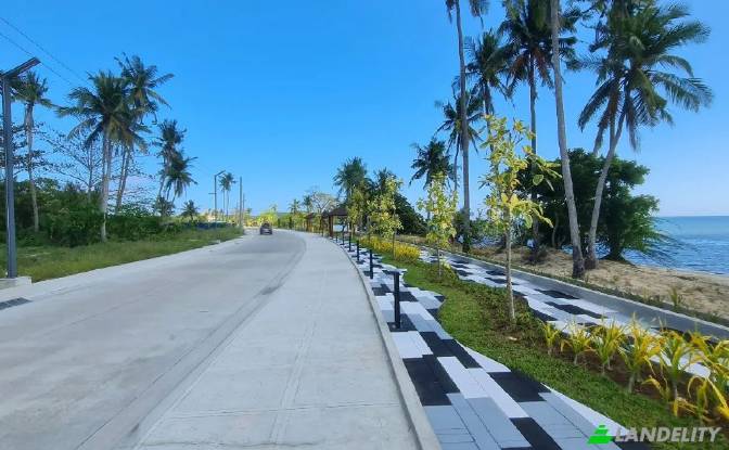 Land Lot for Sale San Juan, Batangas, Calabarzon. Photo#3