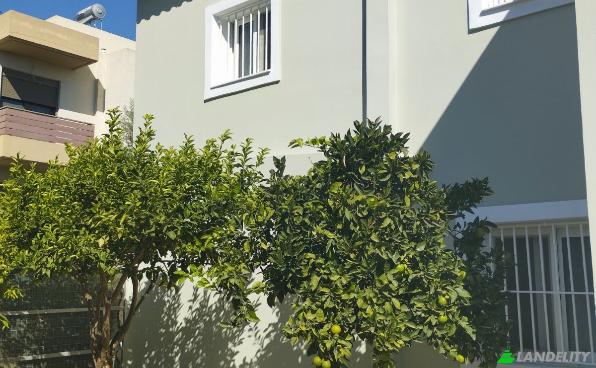 Villa for Sale Ag Konstantinos 190 15, Agios Konstantinos, Attica, Decentralized Administration of Attica, Greece. Photo 4