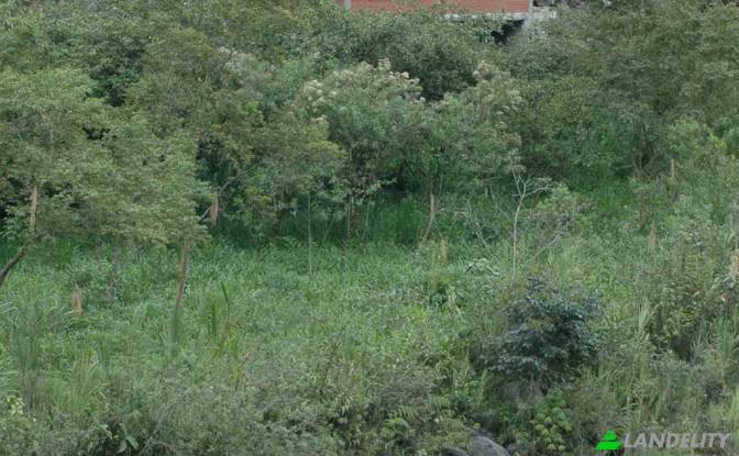 Single Family Home for Sale Via Las Estancias. Photo#16
