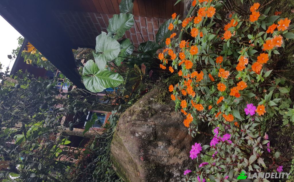 Single Family Home for Sale Via Las Estancias, Rio Negro, Banos Canton, Tungurahua, Ecuador. Photo 23