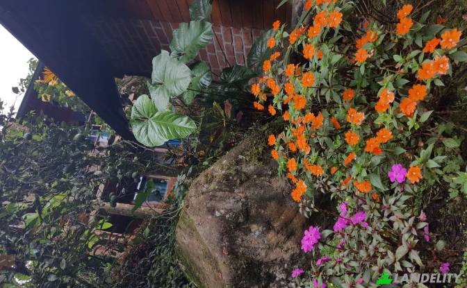 Single Family Home for Sale Via Las Estancias. Photo#23