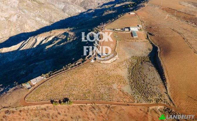 Lotto di terreno da affittare Alcolea, Almeria. Foto#3