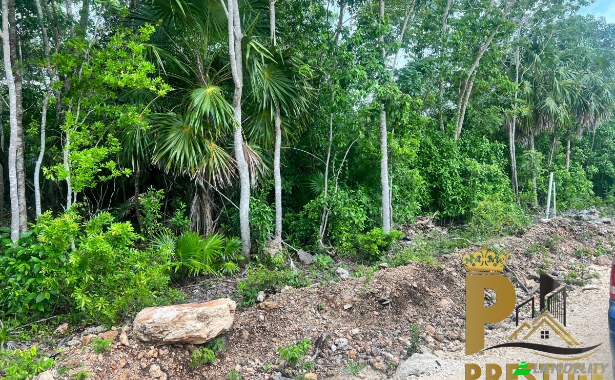 Land Lot for Sale Sarteneja, Corozal District, Belize. Photo 2