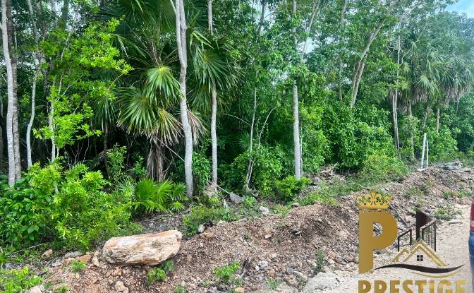 Land Lot for Sale Sarteneja, Corozal District. Photo#2 Land Lot for Sale Sarteneja, Corozal District. Photo#2