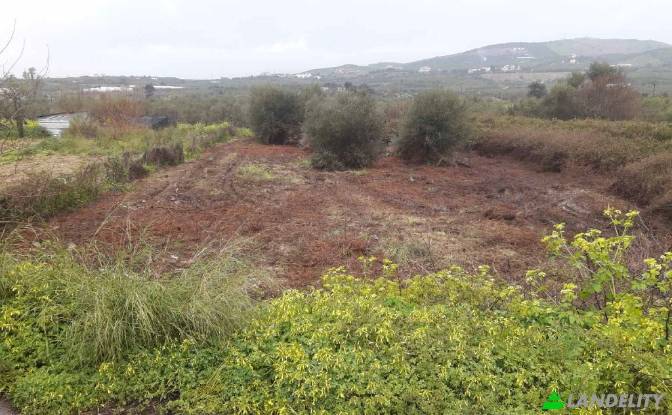 Lot de terrain à vendre - Geropotamos, Greece