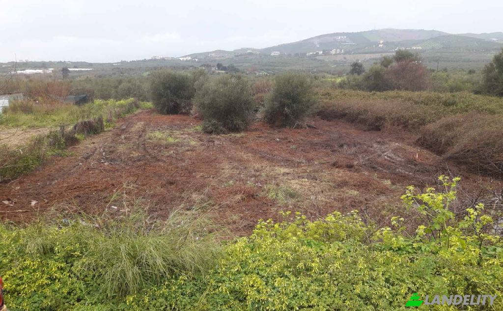 Lot de terrain à vendre dos xoris onomasia, Milopotamos, Geropotamos, Crete, Decentralized Administration of Crete, Greece. Photo 2