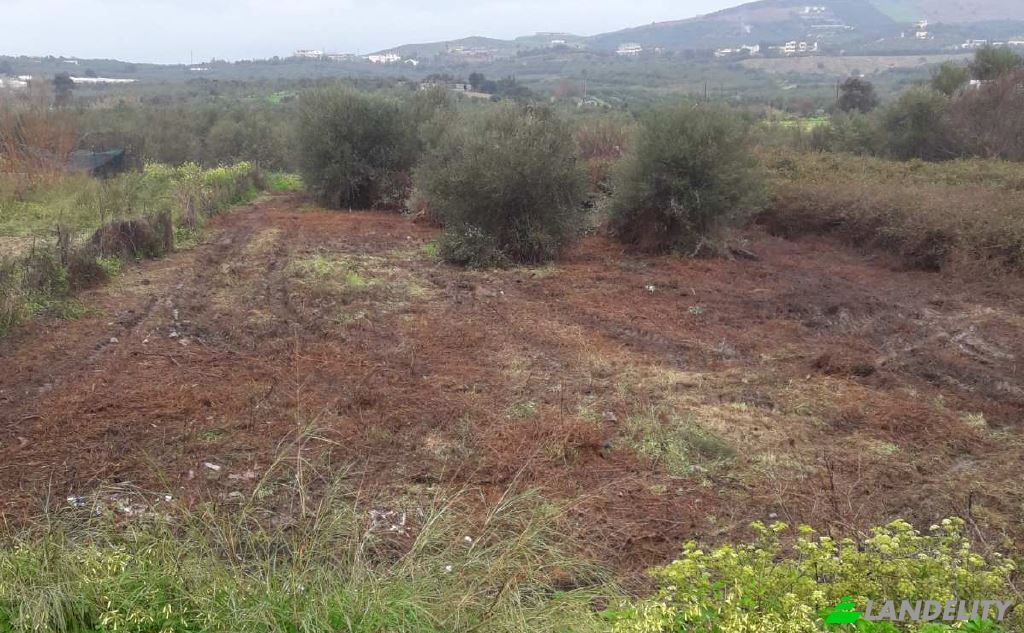 Lot de terrain à vendre dos xoris onomasia, Milopotamos, Geropotamos, Crete, Decentralized Administration of Crete, Greece. Photo 3