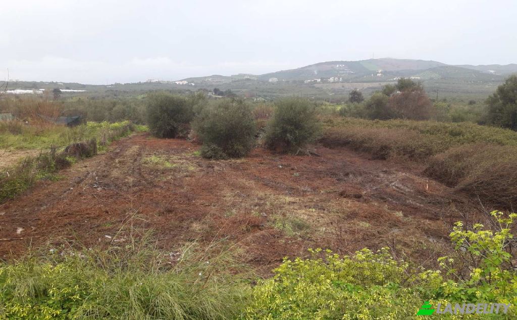 Lot de terrain à vendre dos xoris onomasia, Milopotamos, Geropotamos, Crete, Decentralized Administration of Crete, Greece. Photo 7