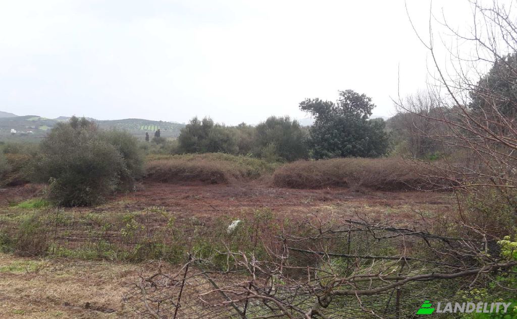 Lot de terrain à vendre dos xoris onomasia, Milopotamos, Geropotamos, Crete, Decentralized Administration of Crete, Greece. Photo 8