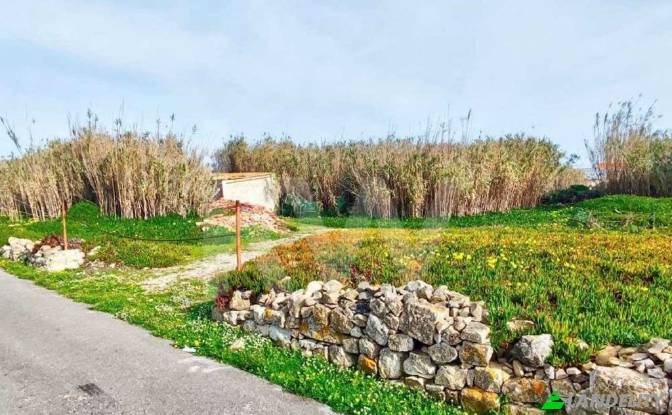 Grondperceel Te koop Caminho da Nora, Peniche. Foto#9
