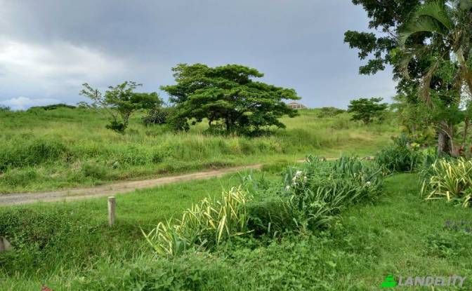 Land Lot for Sale Tau, Nadroga-Navosa. Photo#2