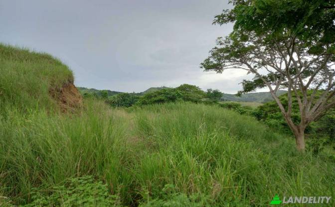 Land Lot for Sale Tau, Nadroga-Navosa. Photo#4