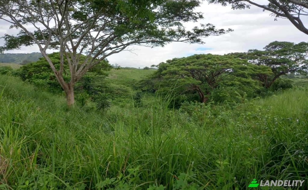 Land Lot for Sale Tau, Nadroga-Navosa, Western Division, Fiji. Photo 5