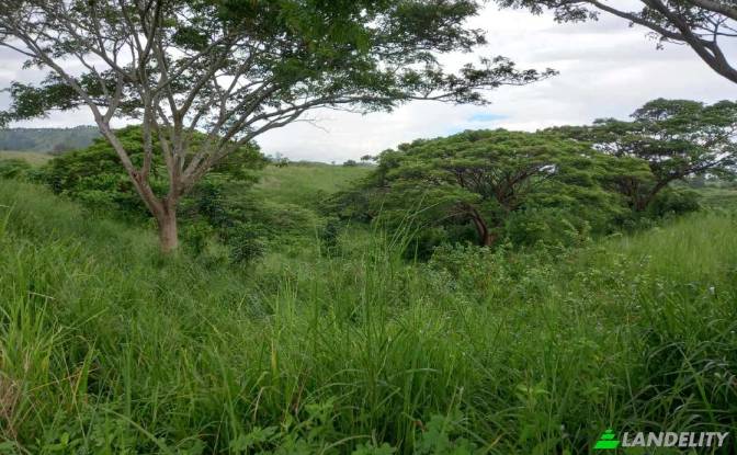 Land Lot for Sale Tau, Nadroga-Navosa. Photo#5
