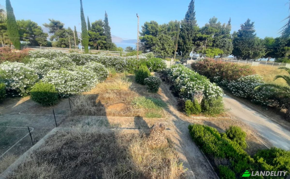 Single Family Home for Rent EO Antirriou Iteas, Delfi, Galaxidi, Central Greece, Decentralized Administration of Thessaly and Central Greece, Greece. Photo 2