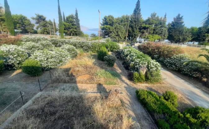 Single Family Home for Rent EO Antirriou Iteas. Photo#2 Single Family Home for Rent EO Antirriou Iteas. Photo#2
