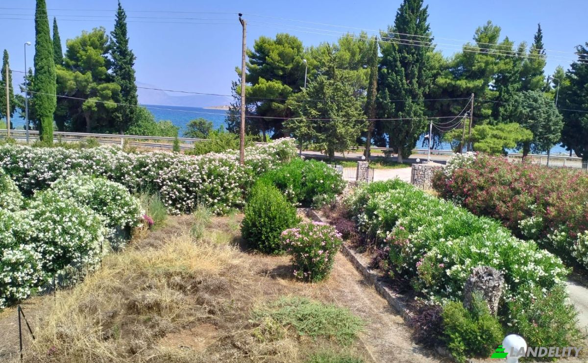 Single Family Home for Rent EO Antirriou Iteas, Delfi, Galaxidi, Central Greece, Decentralized Administration of Thessaly and Central Greece, Greece. Photo 9