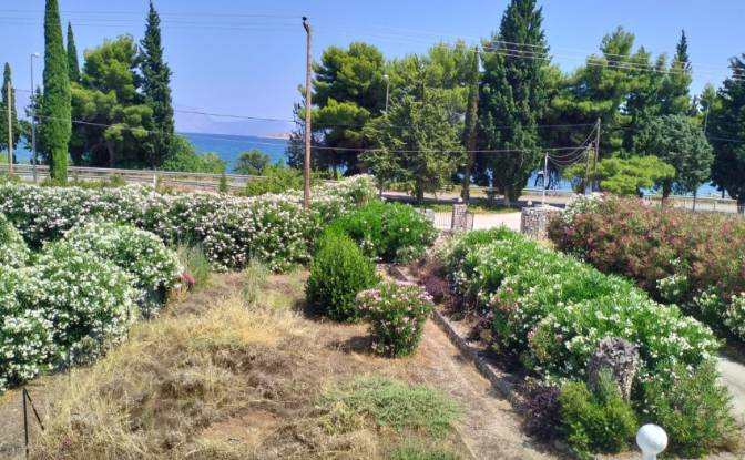 Single Family Home for Rent EO Antirriou Iteas. Photo#9 Single Family Home for Rent EO Antirriou Iteas. Photo#9