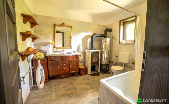 Single Family Home Rentals - Hartagani, Romania