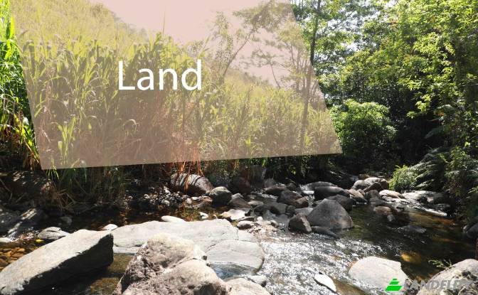 Land Lot Rentals - Deniyaya, Sri Lanka