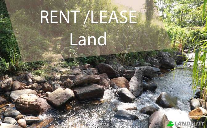 Land Lot for Rent Deniyaya, Matara. Photo#2 Land Lot for Rent Deniyaya, Matara. Photo#2