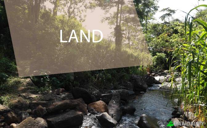 Land Lot for Rent Deniyaya, Matara. Photo#5 Land Lot for Rent Deniyaya, Matara. Photo#5