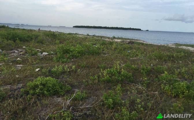 Land Lot for Sale Dar es Salaam, Temeke. Photo#3